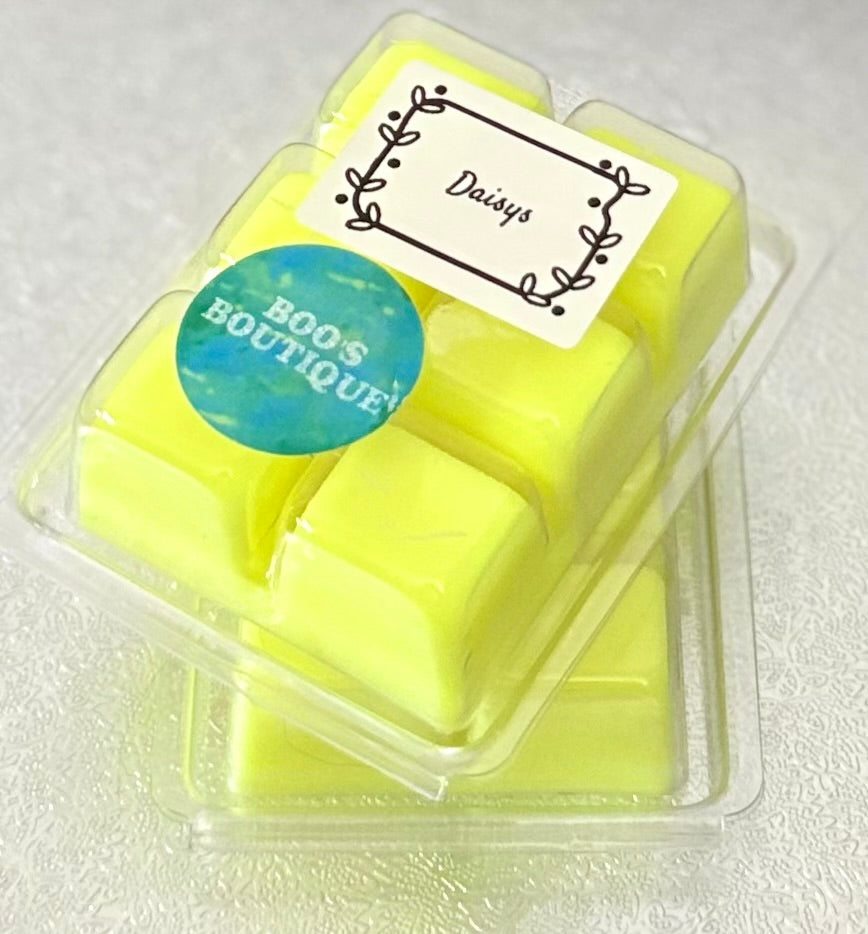 Wax Melt Clamshells Perfumes & Aftershaves