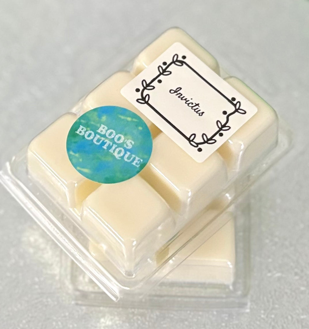 Wax Melt Clamshells Perfumes & Aftershaves